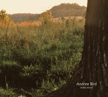 Album « by Andrew Bird