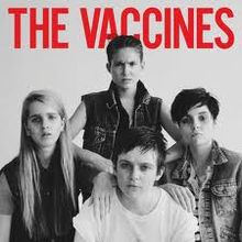 Album « by The Vaccines