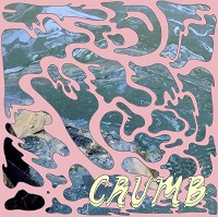 Album « by Crumb
